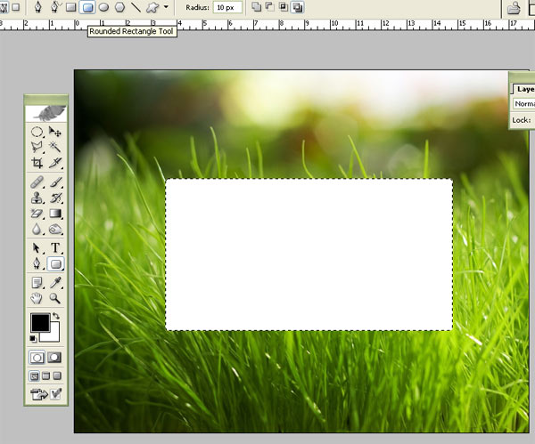 Glossy Grass Login Panel